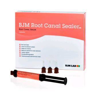 Рут Канал Силер (BJM Root Canal Sealer), набор, 400200, BJM