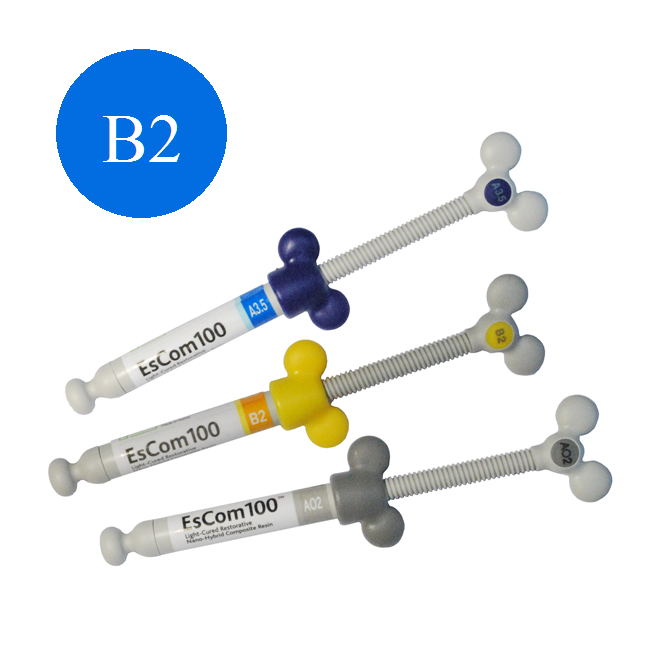 ЭсКом 100 (EsCom 100), B2, наногибридный светополимериализующий композит, шпрх4г Spident