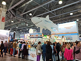 Выставка Dental Expo